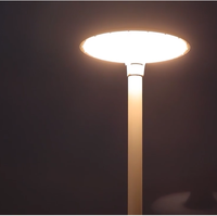Lámpara de Jardín LED Exterior Personalizada, Impermeable IP65, Cuerpo de Hierro, Pantalla de Vidrio, Iluminación de Paisaje, Opciones de Temperatura de Color Múltiple