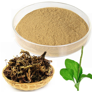 Planta ginis <span class=keywords><strong>PSYLLIUM</strong></span> Wegerich-Extrakt Aucubin 5:1 10:1, 20:1 Flohsamen-Extrakt Flohs amen P.E. - Product Image 4