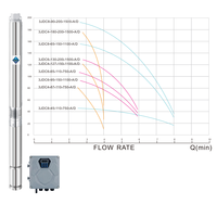 Pompe submersible solaire AC/DC à double alimentation pour puits profond, hauteur de refoulement 95m, avec contrôleur MPPT externe