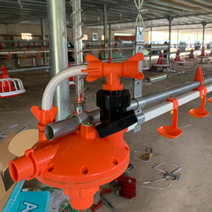 Comederos y Bebederos Automáticos de Plástico para Gallinas Ponedoras, Equipo de Línea de Alimentación Avícola en Estado Nuevo, para Granjas 1 - Product Image 5