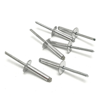 Grosse Tête Galvanisé Poli Rivet Grande Bride En Acier En Aluminium De Type Ouvert Rivets Pop