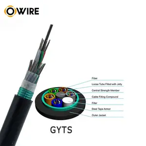 Gyts 12core 24core 48core Fiber Optic Cable Standard Loose Tube Light-armored Outdoor Fiber Optic Cable