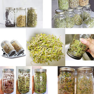 Kit <span class=keywords><strong>de</strong></span> cultivo <span class=keywords><strong>de</strong></span> acero inoxidable 304, 86 y 70mm, tapa <span class=keywords><strong>de</strong></span> tarro <span class=keywords><strong>de</strong></span> brotes <span class=keywords><strong>de</strong></span> albañilería, bandeja microverde para germinación <span class=keywords><strong>de</strong></span> <span class=keywords><strong>semillas</strong></span> <span class=keywords><strong>de</strong></span> brócol y trigo - Product Image 5