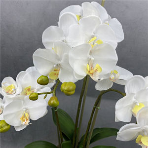 Pot de fleur orchidée dorée personnalisée, fleur artificielle orchidée en pot, tactile réel, fleur de décoration, pièces - Product Image 4