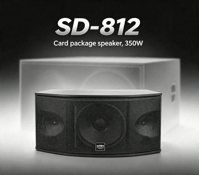 12 Inch 350W Wall Mount Card Package Speaker Professional Loudspeaker for School Hotel Government Multi-Function Hall