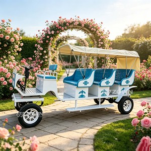 Carruaje Turístico Retro de Lujo con Diseño de Asientos Humanizados y Configuración Personalizada para Jardín Botánico y Recepción de Turistas - Product Image 5