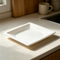 Assiette jetable carrée en bagasse de canne à sucre, résistante à l'huile, compostable, pour aliments chauds