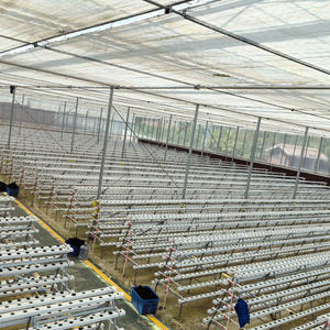 מערכת הידרופונית NFT לחסכון במים, מדפי גידול ירקות הידרופוניים, תעלות צינורות <span class=keywords><strong>PVC</strong></span> לחקלאות מסחרית בחממות - Product Image 2