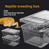 Terrarium pour reptiles H19H20 en plastique, petite/moyenne/grande boîte d'élevage pour tortues, araignées, geckos, grenouilles cornées, mille-pattes