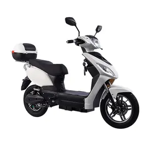 EWG-COC DOT-Zertifikat genehmigt 48 V 20 Ah abnehmbare Bleisäure-Lithium-Batterie 500 W 800 W 1000 W Erwachsenen-Elektro-Scooter Motorrad
