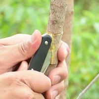 Nouveau couteau de camping pliable en acier inoxydable, outil de jardinage, couteau de greffage et d'élagage pour bonsaï avec manche en plastique noir