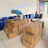 Boyau de mouton halal hautement élastique et durable pour saucisses, stock d'exportation