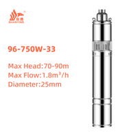 Pompe à eau submersible à vis pour puits profond, en acier inoxydable, basse pression, OEM, pour l'agriculture, marque Shanying