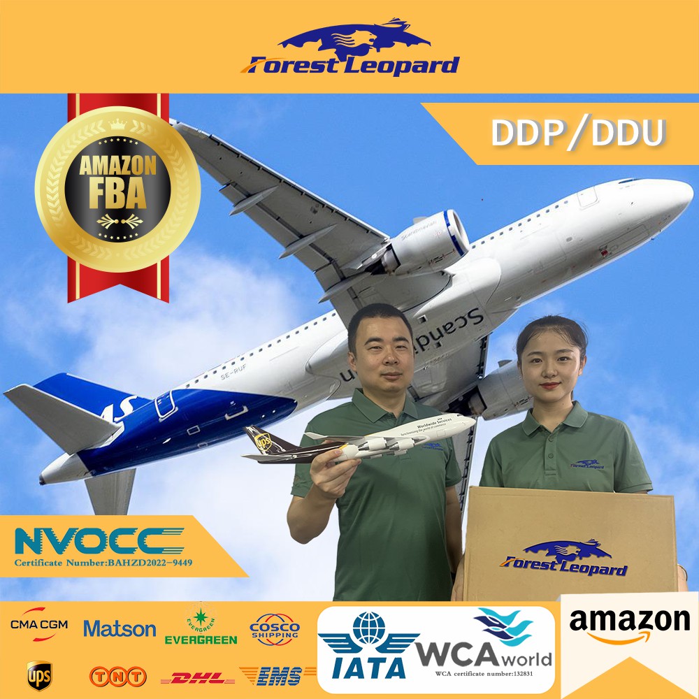 Профессиональный транспортный агент экспедитор От двери до двери авиаперевозка из Китая в США FL