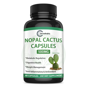Compléments alimentaires en capsules de <span class=keywords><strong>cactus</strong></span> nopal à base de plantes, marque privée OEM, pour le soutien digestif, l'équilibre métabolique et la gestion du poids - Product Image 1