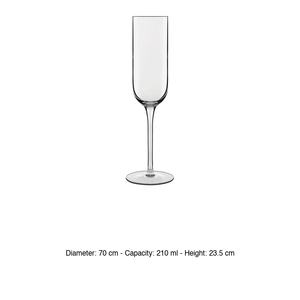 Vinalia <b>Prosecco</b> Tasting Glass 21 cl H 23.5 cm Ø 7 cm Crystal Luigi Bormioli - Product Image 3