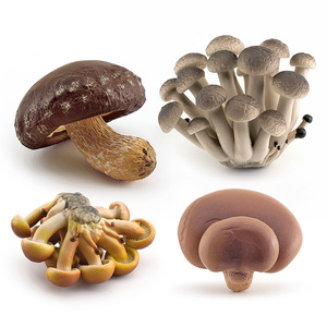 Kit di Apprendimento Precoce per Bambini, Modelli Realistici di Funghi in Miniatura, Giocattoli Statici a Tema Vegetale con Shiitake e Funghi Ostrica - Product Image 3