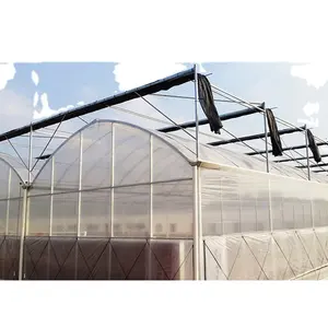 Low cost Pc Sheet Agriculture Plastic Film Glass Sheet Multi-span Polycarbonate Greenhouse