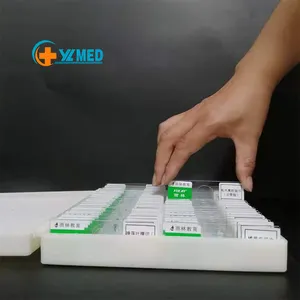 Meistverkaufte Farbige Histologie-Objektträger Universitätsbedarf 100 Normale Gewebesektionen Menschliches Blutfilm Vorbereitete Objektträger - Product Image 2