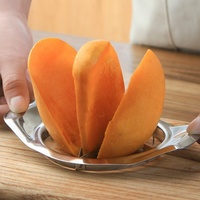 Roestvrijstalen mango-ontpitter, fruitverdeler, -snijder, handmatig fruit snijgereedschap
