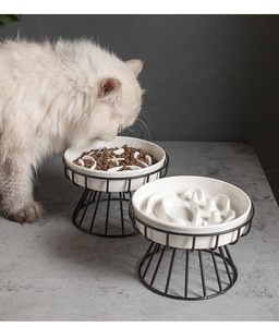 NZMAN Venta al por mayor Comedero automático 2 en 1 ecológico de hierro y cerámica para mascotas, para comida, snacks y latas, con diseño anticervical y lento, para gatos y perros - Product Image 1