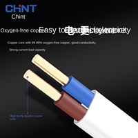 Fil électrique rigide Chint ZC-BVVB, norme nationale, âme en cuivre massif, gaine PVC, 2/3 conducteurs, 1,5/2,5/4/6 mm², pour bâtiment et usage domestique
