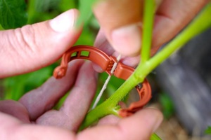 Ficelle agricole en PP pour la culture <span class=keywords><strong>de</strong></span> plantes, g - Product Image 5