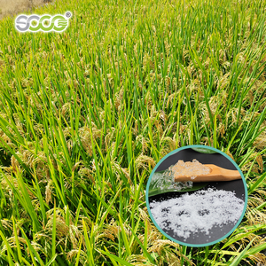 Poliacrilato de Potasio para Plantas Agrícolas, Polímero Súper Absorbente, Cristal de Savia, Hidrogel - Product Image 2