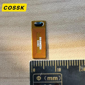 ISO14443A Chip Tag NFC FPC Kecil RFID Tahan Air Kartu Keanggotaan Kartu Bisnis Pembayaran Hotel Mini 13.56MHz Stiker Tag Label - Product Image 3