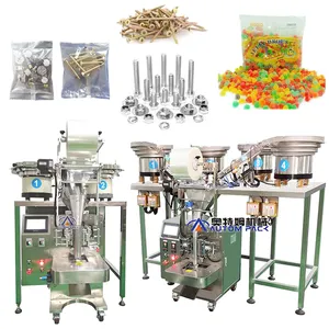 Different Sizes Automatic 2 Vibrating Plate Accessories Counting Parts Hardware Screws Bolt Pill Anchors Candy Packing Machine