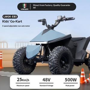 Quad électrique tout-terrain à quatre roues pour adolescents Langhui - Product Image 2