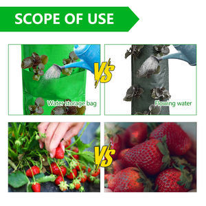 Agriculture Outdoor 3 Gallon Recyclable Hanging Strawberry Tomate Plant Pouch Biodégradable Garden Vegetable PP Plastic Grow Bag - Product Image 3