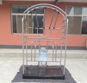 Chất Lượng Tốt <span class=keywords><strong>True</strong></span> <span class=keywords><strong>Stretch</strong></span> Cage Với Ống Thép 32X32X3Mm - Product Image 2