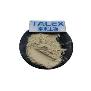 Rennet Halal Food Grade 20000U/G <b>Cheese</b> Rennet From Papaya Chymosin <b>Powder</b> - Product Image 1