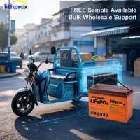 Batterie de remplacement pour trottinette électrique 24V100AH 2.4KWh Grade A LiFePO4 avec protection contre les surcharges et performance constante pour 3 roues