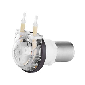 蓬浦12v直流有刷电机40mLPM迷你蠕动泵24v水泵BPT管低价 - Product Image 1