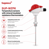Anti-corrosion 316L Sheath Temperature Sensor for Chemical Liquid and Corrosive Medium Temperature Detection