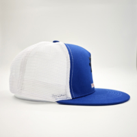 Gorra de ciclismo OEM ODM personalizada con diseño de hoja tropical, ajustable, estructurada, de malla, forro polar, para exteriores, con visera plana y bordado en lona.