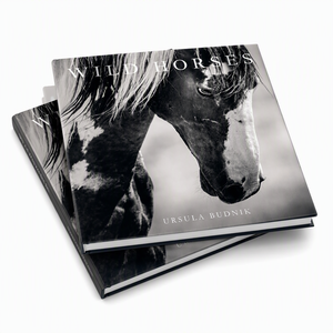 พิมพ์หนังสือภาพปกแข็งแบบกำหนดเอง หนังสือภาพหรูหราแบบ Coffee Table Book คุณภาพสูง ผลิตอัลบั้มภาพศิลปะระดับพรีเมียม - Product Image 1