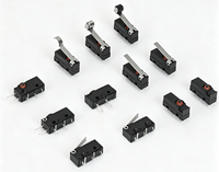 Micro-interrupteurs étanches 12V SPDT 10A 250V AC IP67, 30000 cycles, avec levier à charnière en plastique et bouton à action rapide pour usage industriel