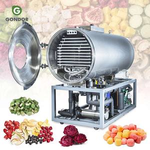Fruit Chrimp Dried Liofilizador Food Grade Freeze Dryer Production <b>Drying</b> Lyophilization Equipo <b>Equipment</b> - Product Image 1
