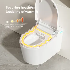 Serbatoio di acqua nascosta WC sanitari intelligente a muro montato sul retro della parete Water Closet bagno automatico Smart muro appeso WC