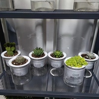 Pot de plante rond en plastique transparent auto-arrosant pour plantes succulentes, pour jardin et usage domestique, emballé en carton