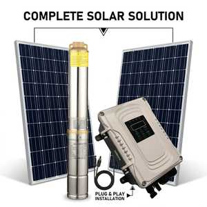 Sistema de Riego Agrícola con Energía Solar de 750w, Bomba de Agua Solar Sumergible con Certificación CE e ISO para Tanzania 3FLP3.8-9 - Product Image 5
