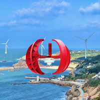 Générateur éolien à axe vertical Maglev 1000W 12V 24V avec contrôleur de charge MPPT pour système domestique