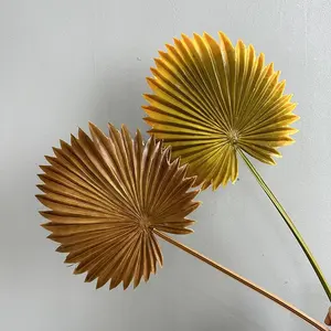 Éventails en feuilles de palmier artificielles pour décoration de <span class=keywords><strong>mariage</strong></span>, plantes artificielles, feuilles de palmier en plastique souple, 19 cm, vente chaude - Product Image 6