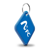 Porte-clés code QR personnalisé avec URL programmable RFID Epoxy NFC Pet ID Tags