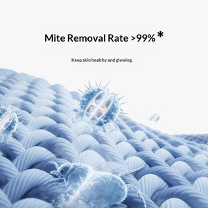 Lavatrice Xiaomi Mijia a pulsatore da 12 kg, alta efficienza di lavaggio, grande capacità, completamente automatica, versione smart, primo livello energetico - Product Image 3
