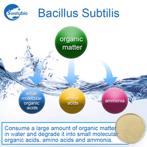 <strong>Probioticos</strong> Bacillus Subtilissoil Fertilizer Additive Plant Nutrition Probiotics Feed Grade Probiotic Powder - Product Image 6