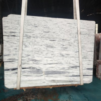 Choix Classique |   Marbre blanc élégant, idéal pour les appartements haut de gamme, les seuils et les décorations murales